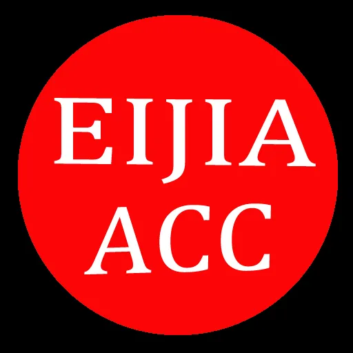 YIwu Eijia Accessories Co.,Ltd company overview - view 1
