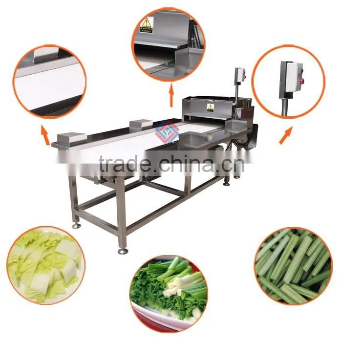 TJ - 309 Production Line Connected Large Type Vegetable Cutter