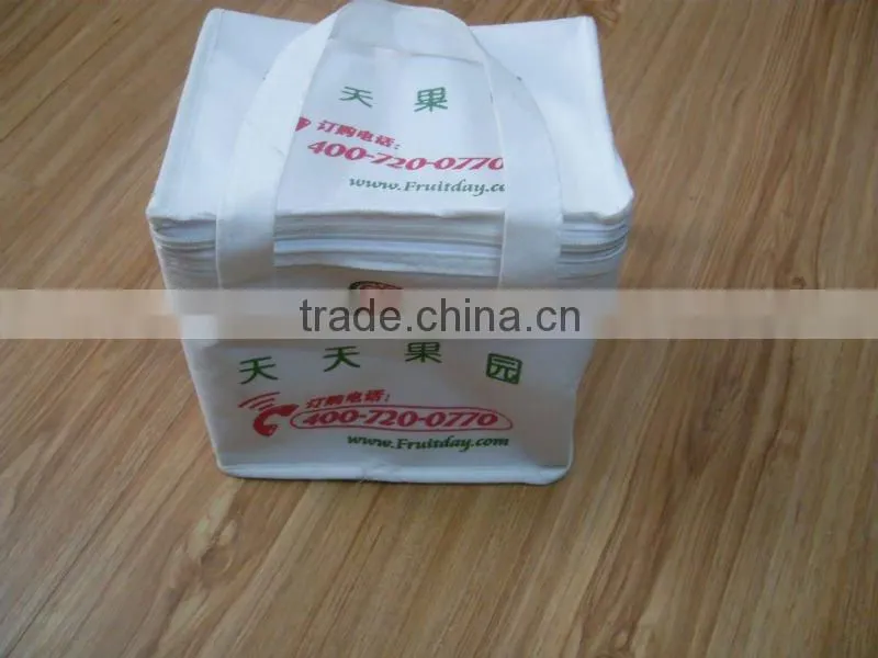 White zipper handle non woven cooler bag