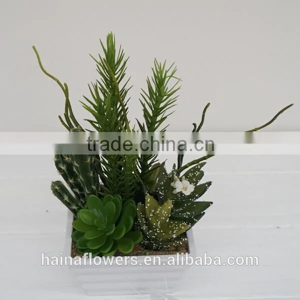 New arrival decorative artificial plants/ succulent plants mixed series
