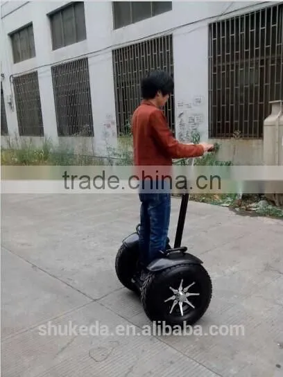 2000W Big wheel self-electric chariot