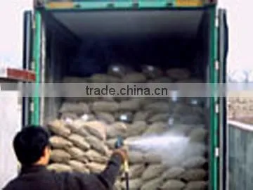 2013 chinese fresh chestnut(yellow white flesh)