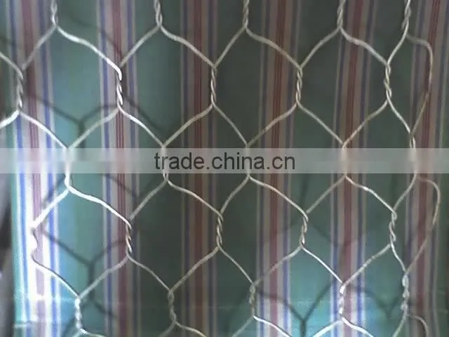 hex mesh