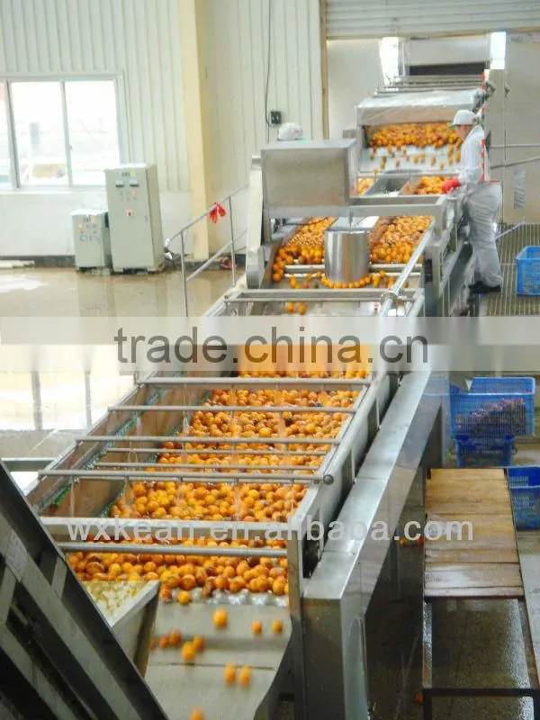 Turnkey project industrial orange juice plant
