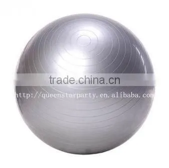 Gym Ball Yoga Ball Fitness Ball