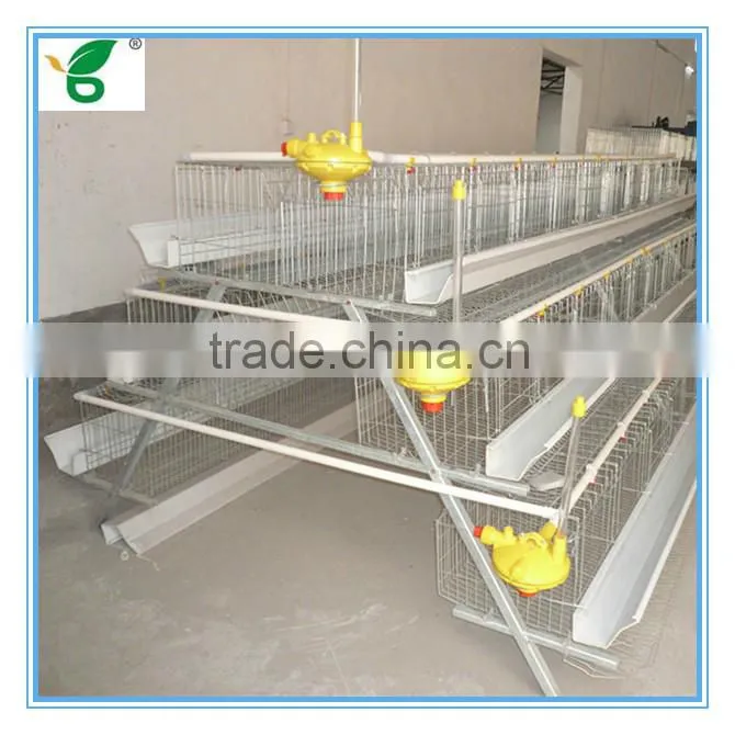 galvanized a type battery chicken hen coops for sale