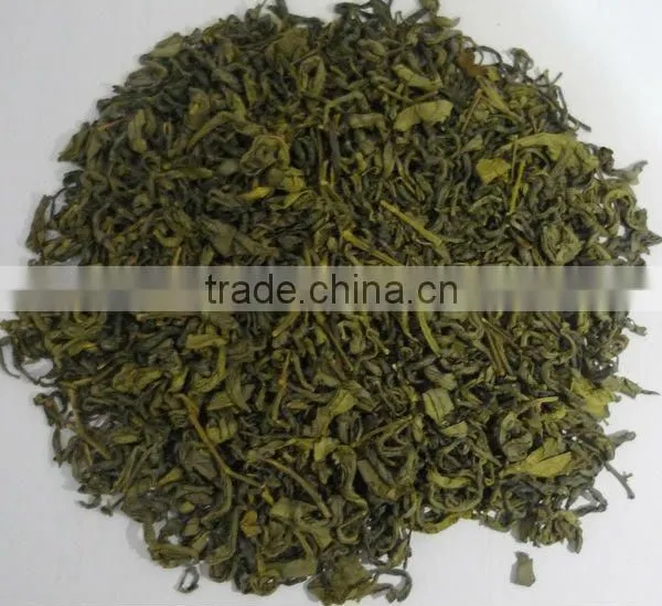 High quality best selling green tea from Vietnam