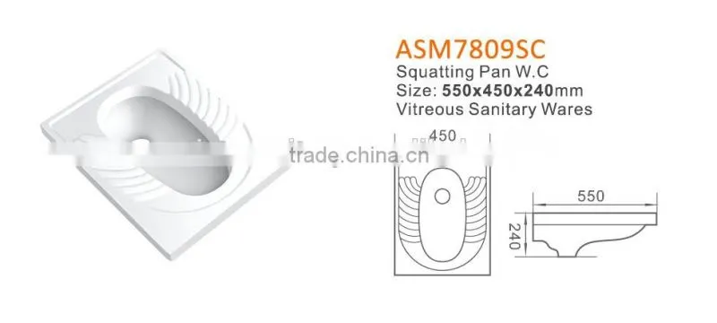 China Oem Manufacturer Flush Pipe Squatting Toilet Factory