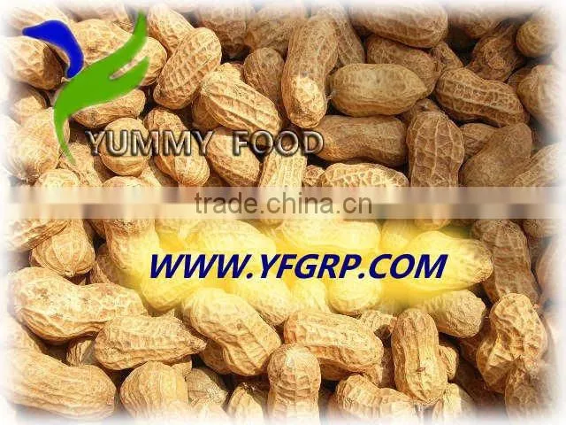 roasted peanut in shell for recipes