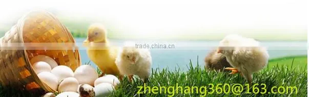 Incubateur pour les oeufs de caille/ incubateur capacity 33792 in Algeria