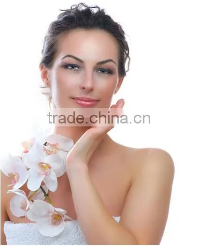 540 micro needling Mt derma roller with low price hotsale in the world