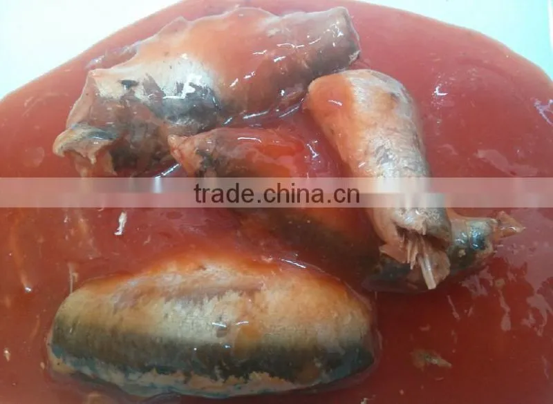 Delicious 3-5 pcs /tin ,425g canned sardines in tomato sauce sardine canned fish