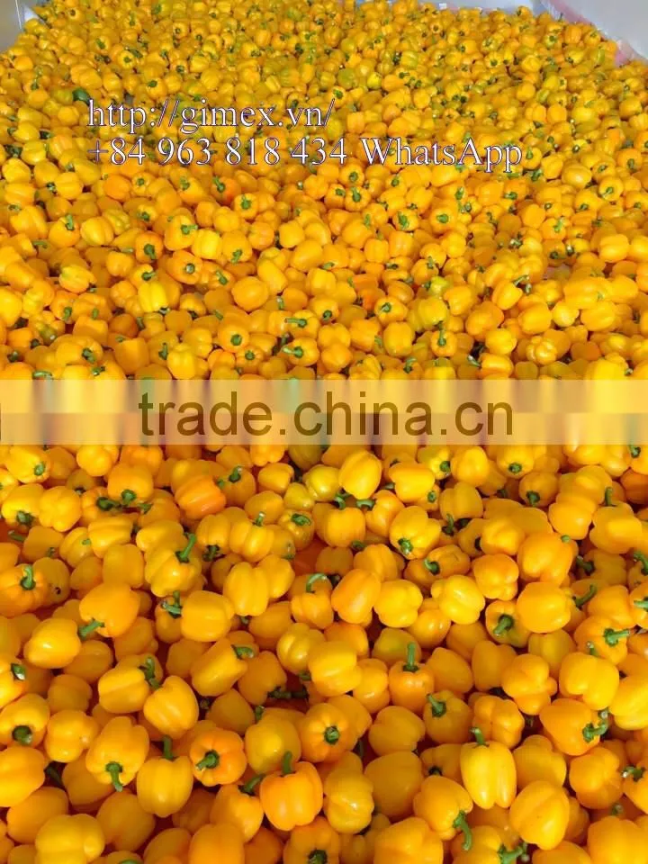 FRESH SWEET BELL PEPPER