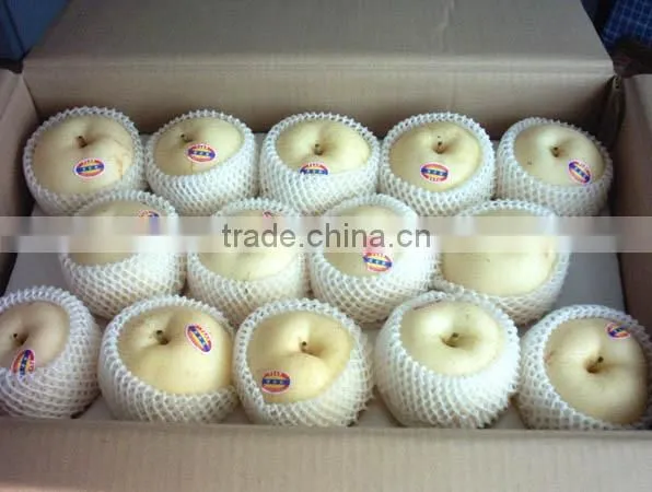 9KG Fresh Golden Pear 40-44 Size