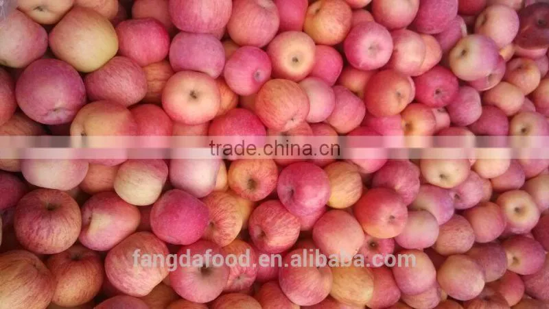 yantai fresh apple/china fresh apple