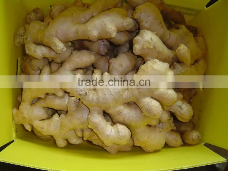 Chinese fresh ginger