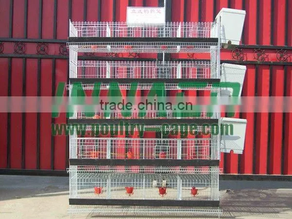 Supply Feeding Quail Cage in High Quality(ISO9001)
