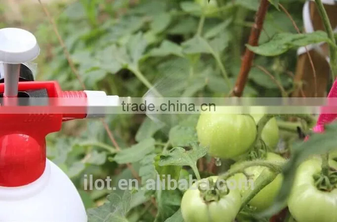 2L mini Pressure Sprayer with Pressure Gauge and Safety Valve