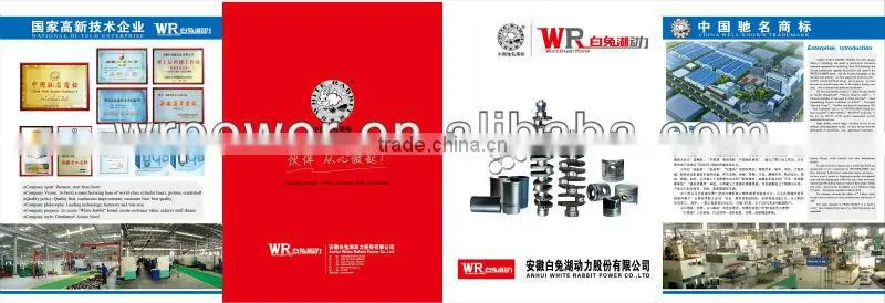 Diesel Engine Valve Assembly