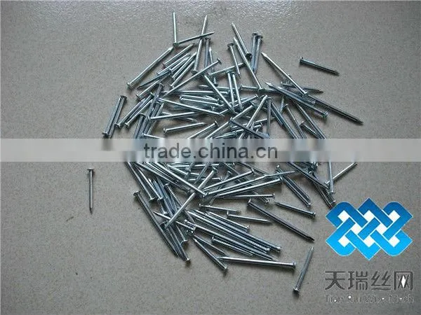 Nail/wire nail/common nails