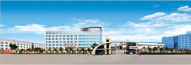 CLW Dongfeng Ladder Moving Car