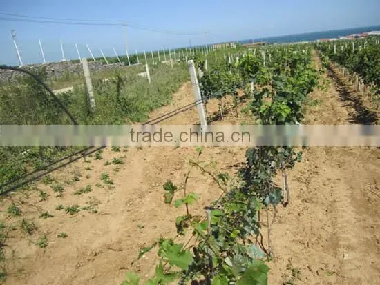 polyester material screen supporting wire, greenhouse wire with high breaking strength, anti uv wire polyester
