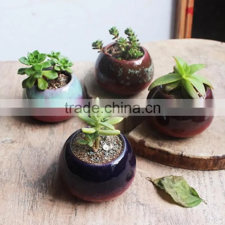 New christmas indoor decor glazed small succulent pot