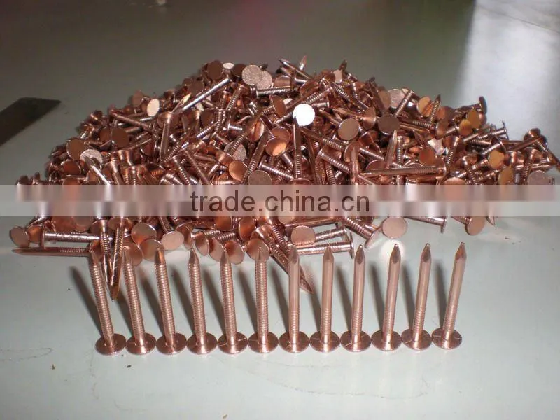 Hot Copper Nails