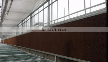 Manufacturer Plastic Film Greenhouse Tunnel for Medical Plant