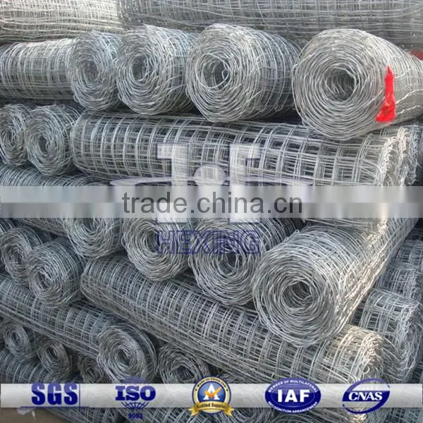 Galvanized Coal Mine Support Wire Mesh