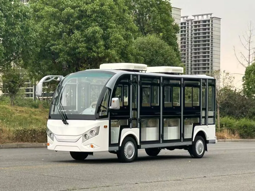 8-seater enclosed air-conditioned electric sightseeing bus | Selection and pit avoidance guide ✨