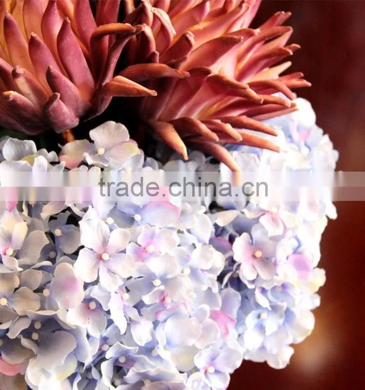 Low price Cheapest hydrangea flowers bonsai