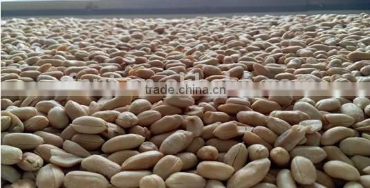 almond wholesale roasted peanuts wholesale roasted peanuts prices