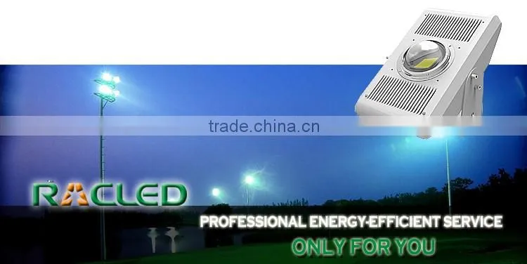 Standardized module led tunnel light 50W
