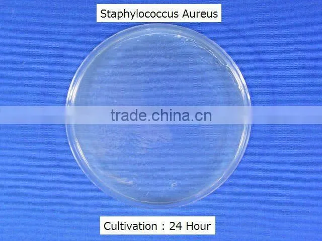 New Products for 2013 PET Anti Fingerprint Anti Bacteria Protective Film for Mobile Phone