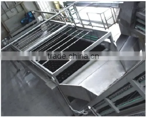 Food-grade brush cleaning machine