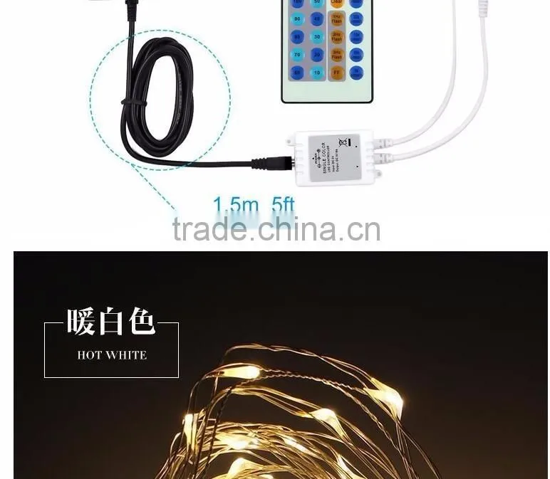 100 LEDs 33 ft Copper Wire, Warm White, Remote Control Outdoor String Lights, Dimmable LED String Lights Festival LED String