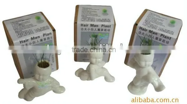 Kungfu grass doll-Shaolin serial pugilism