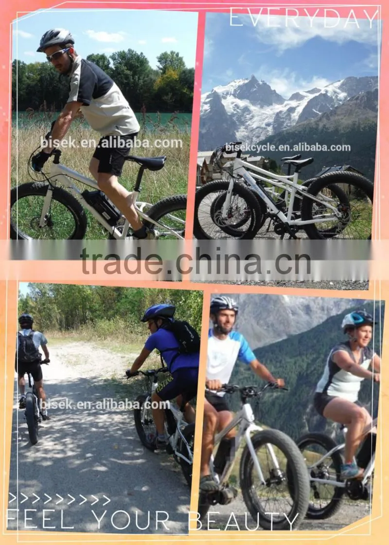 High power full suspension mountain ebike exercise bike for sale
