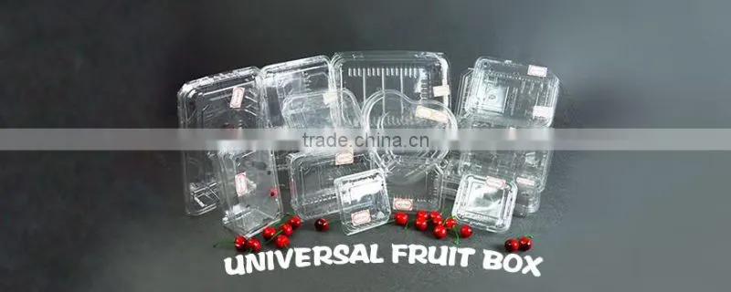 2016 Wholesale fruit strawberry container tray