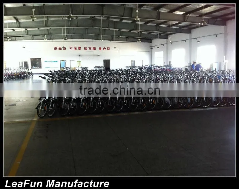 Europe NO1 Sell Aluminum alloy Electric Bike With High Power Motors .36VLithium Battery