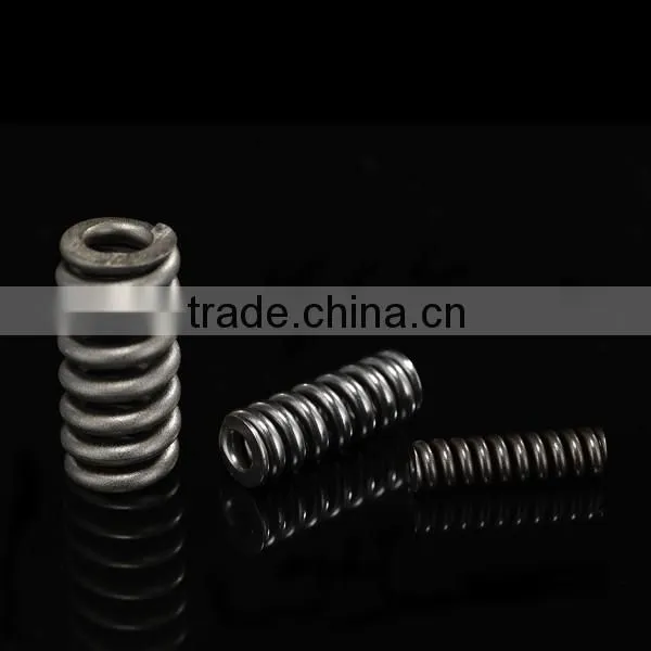 Bosch Fuel Injector Spring 2434619017