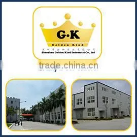 Shenzhen Golden Kind Industrial Co., Ltd. company overview - view 1