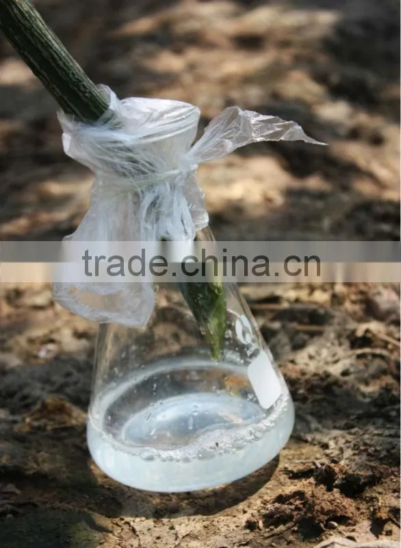 pure natural loofah water for cosmetic