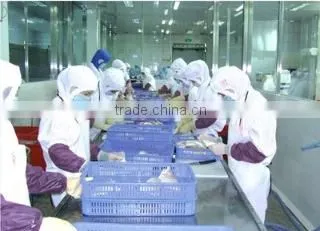 Xiamen Taiseng Imp. & Exp. Co., Ltd. company overview - view 2