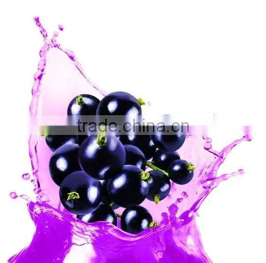 100% Natural Bilberry Extract Bilberry Proanthocyanidins CAS NO 84082-34-8