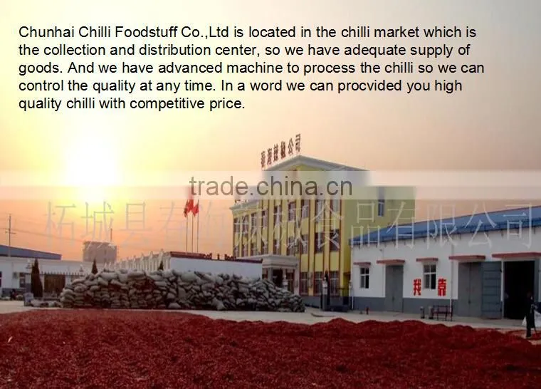 Exported dry red chilli threaded