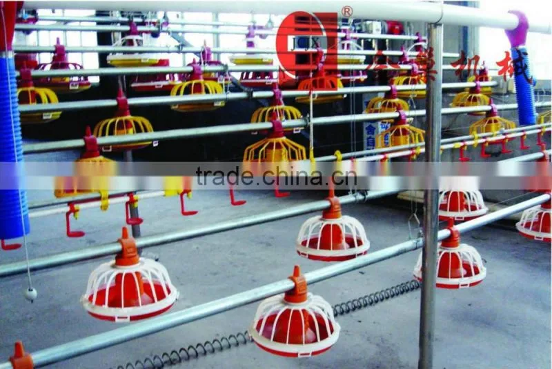 Goldenest Feeding Pan system for Poultry Equipment Auger feeder in Brioler Farm