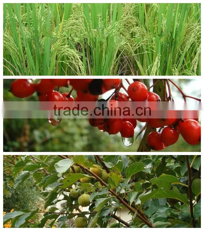 Ammonium Sulphate raw metarial with wide used