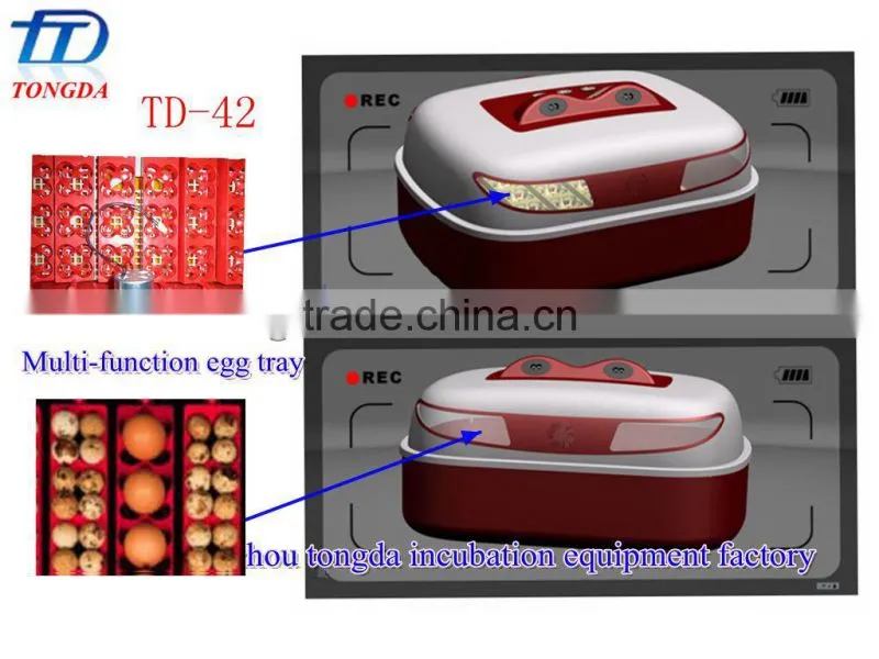 mini incubadora chicken egg incubadora hot sale for sale in UAE